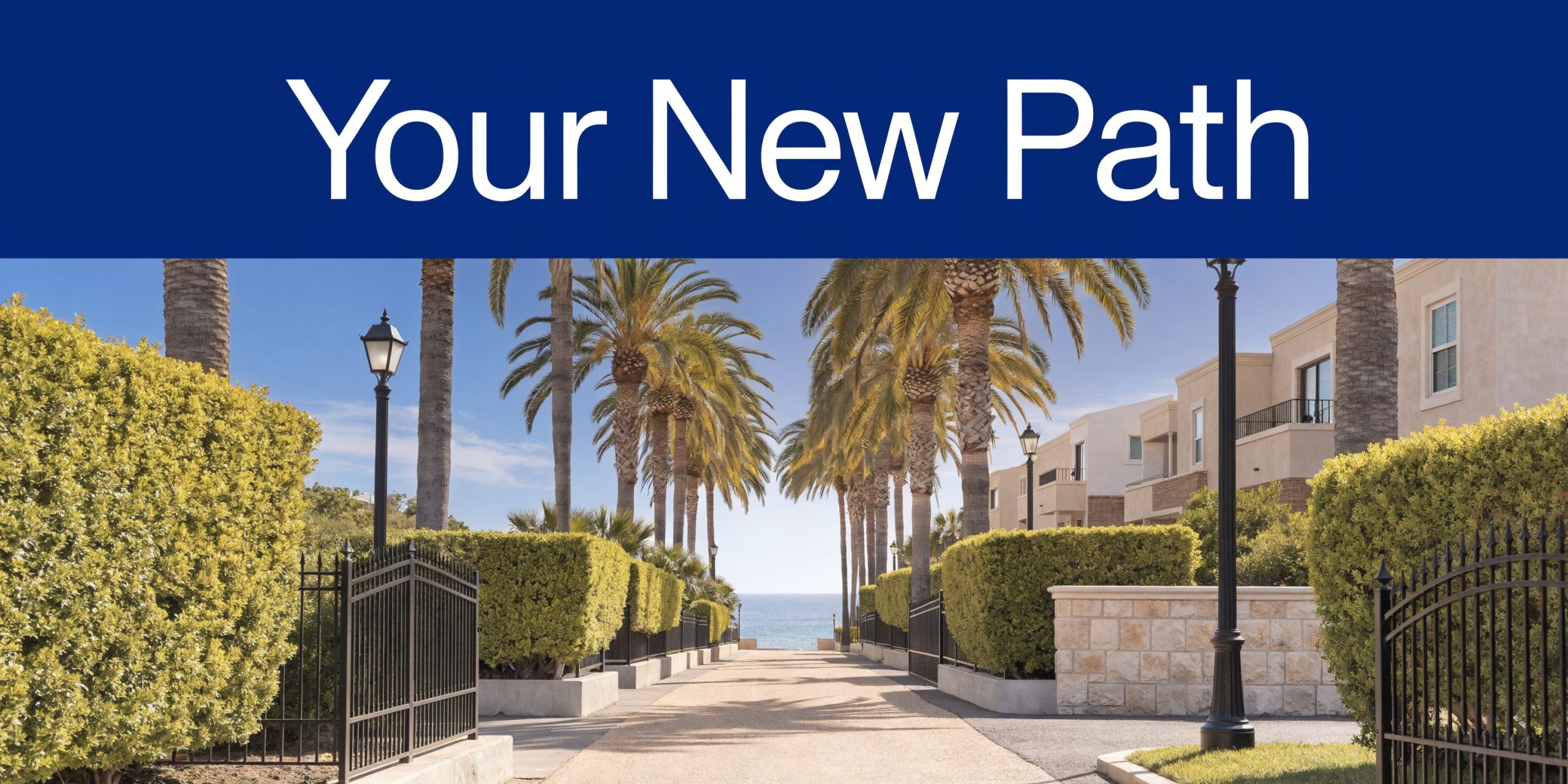A scenic pathway lined with palm trees and manicured hedges leading towards the blue ocean beach.