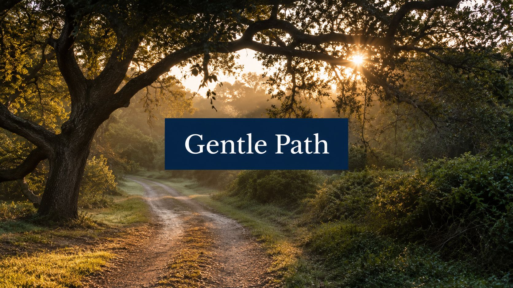 A Gentle Path Through the Twelve Steps for Recovery
