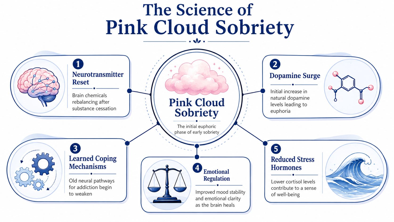 An infographic titled The Science of Pink Cloud Sobriety detailing five psychological and neurological benefits of early sobriety.